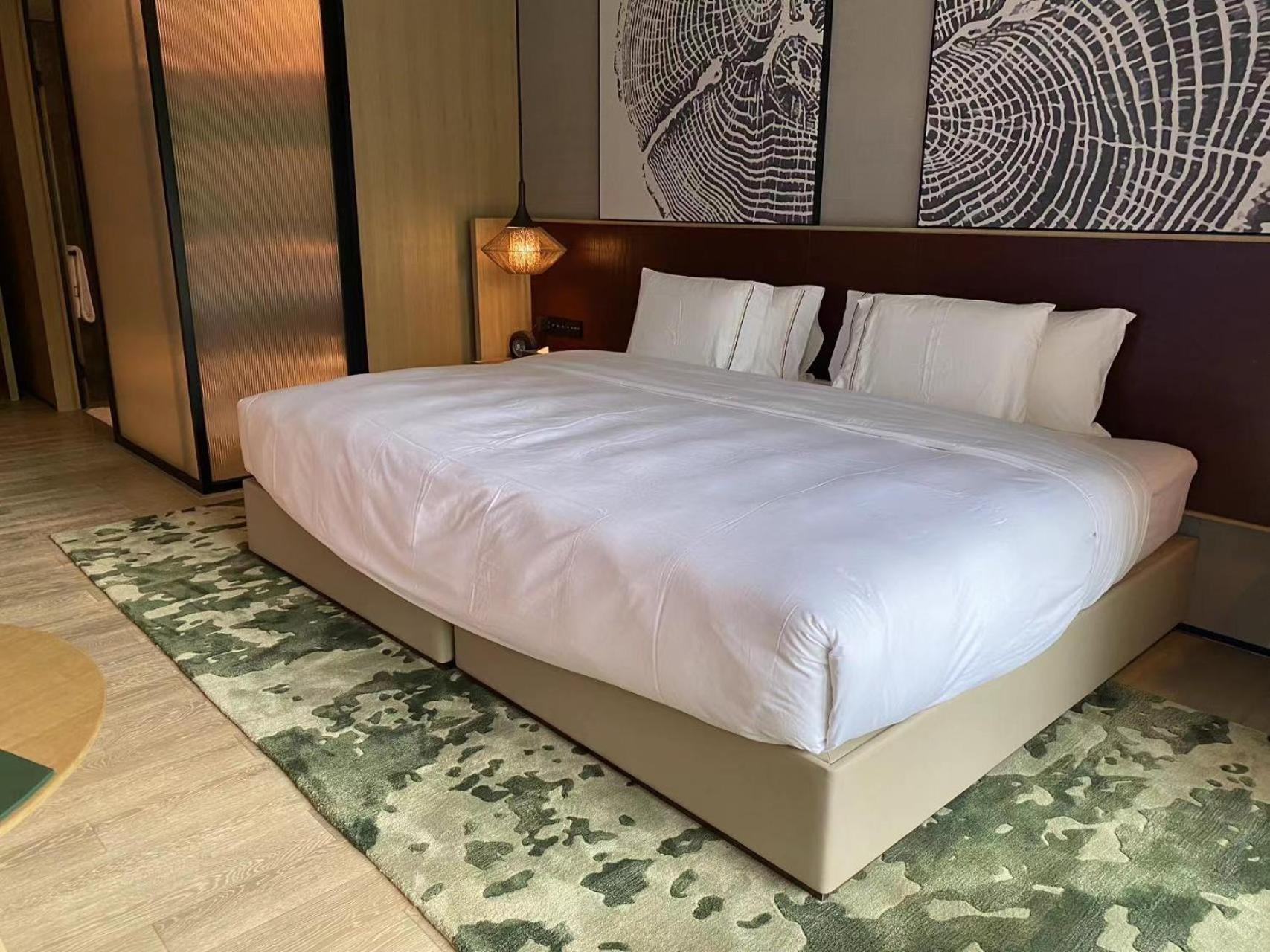 Melia Chongqing Ξενοδοχείο Εξωτερικό φωτογραφία